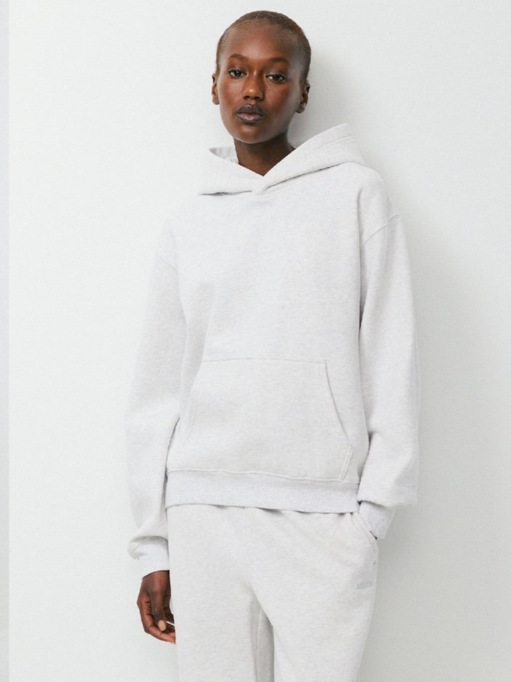 ARITZIA Cozy Sweatfleece Hoodie Pullover Sweatshirt in Heather Cloud White S